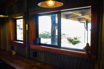 Shed-internal-windows